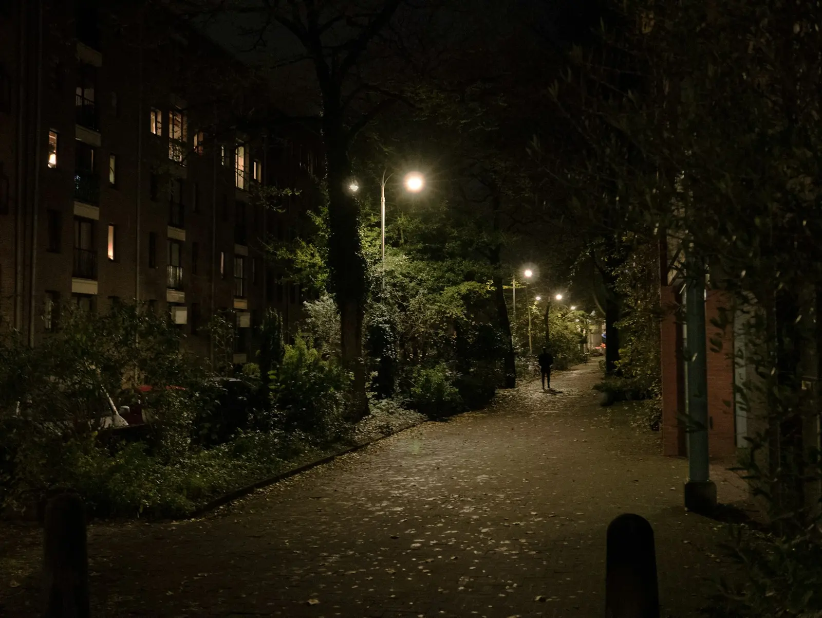 Een stille woonstraat in de avond, met brandende straatlantaarns en verlichte ramen