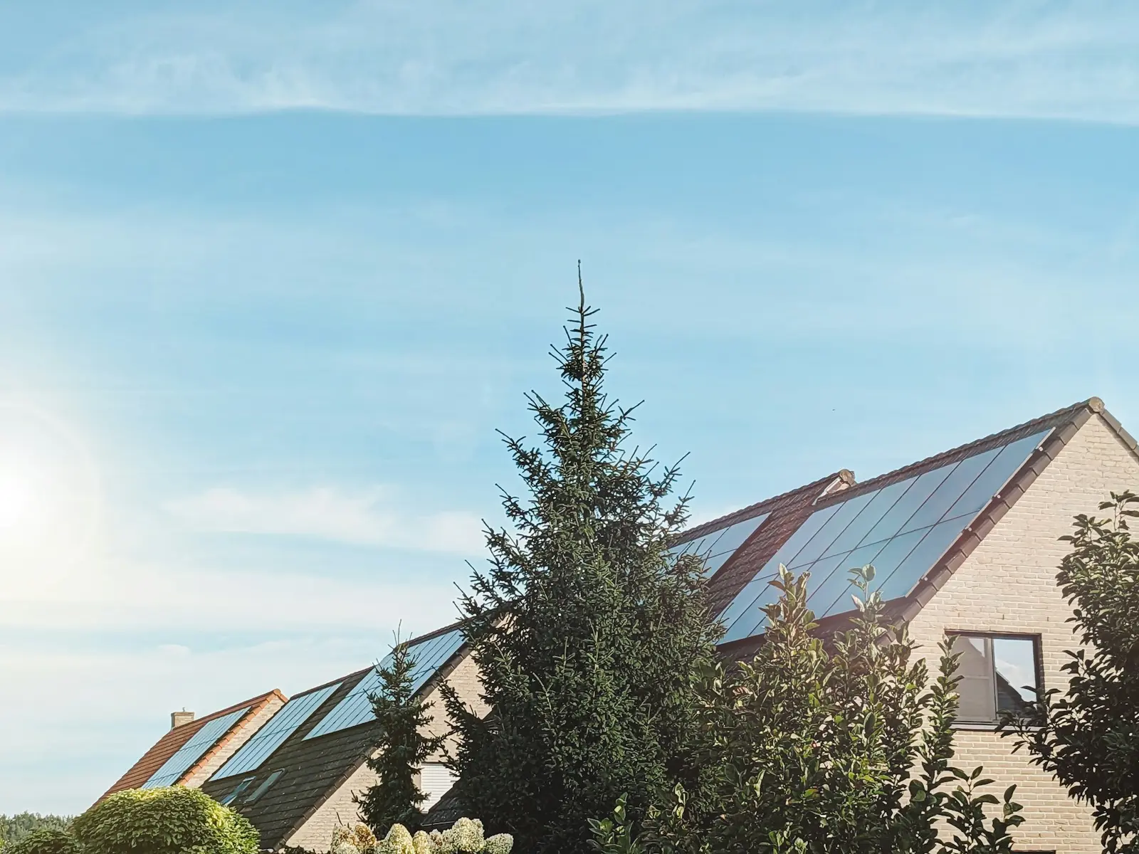 Zonnepanelen op een rij schuine daken achter een grote spar, onder een lichtblauwe lucht